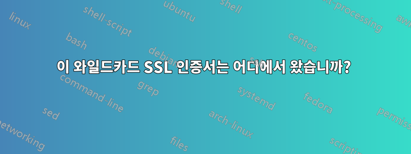 이 와일드카드 SSL 인증서는 어디에서 왔습니까?