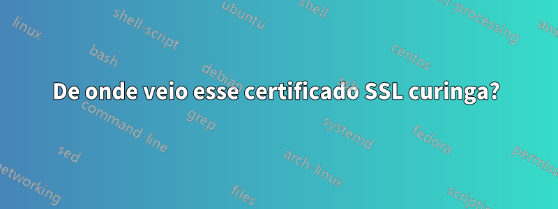 De onde veio esse certificado SSL curinga?