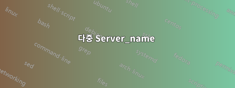 다중 Server_name