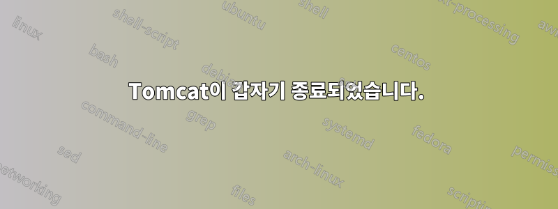 Tomcat이 갑자기 종료되었습니다.