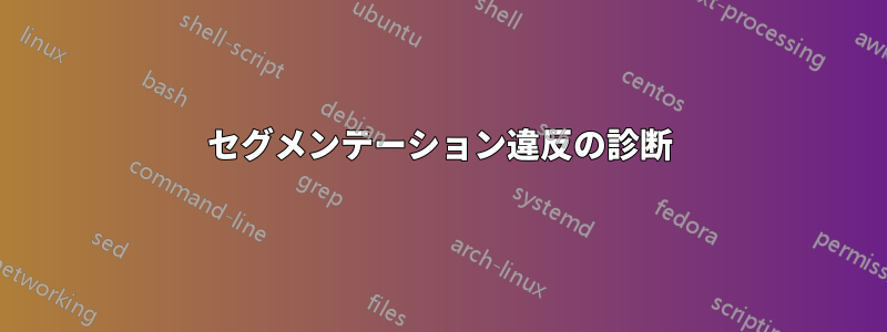 セグメンテーション違反の診断