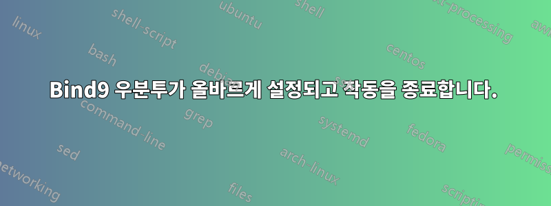 Bind9 우분투가 올바르게 설정되고 작동을 종료합니다.
