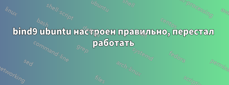 bind9 ubuntu настроен правильно, перестал работать