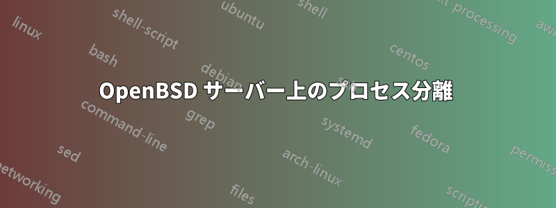 OpenBSD サーバー上のプロセス分離