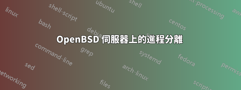 OpenBSD 伺服器上的進程分離