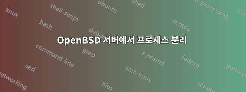 OpenBSD 서버에서 프로세스 분리