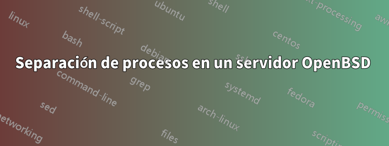 Separación de procesos en un servidor OpenBSD