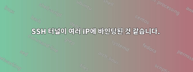 SSH 터널이 여러 IP에 바인딩된 것 같습니다.