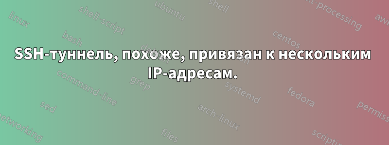 SSH-туннель, похоже, привязан к нескольким IP-адресам.