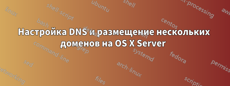 Настройка DNS и размещение нескольких доменов на OS X Server 