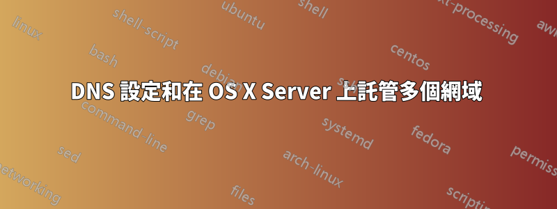 DNS 設定和在 OS X Server 上託管多個網域