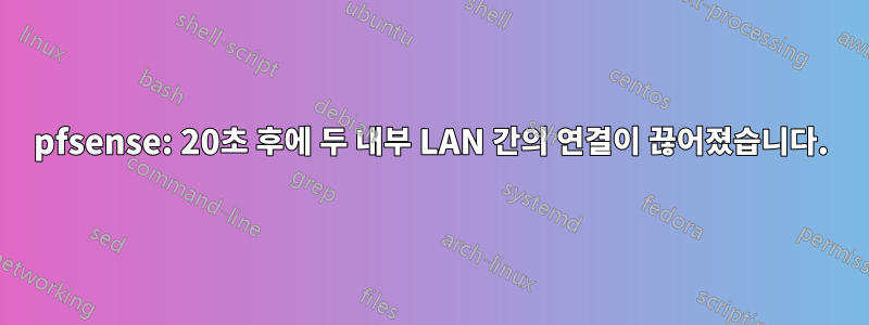 pfsense: 20초 후에 두 내부 LAN 간의 연결이 끊어졌습니다.