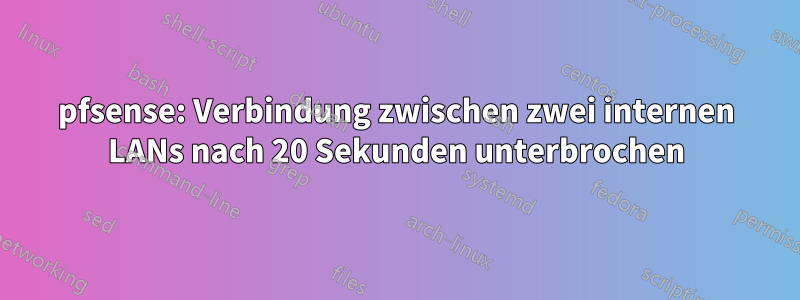 pfsense: Verbindung zwischen zwei internen LANs nach 20 Sekunden unterbrochen