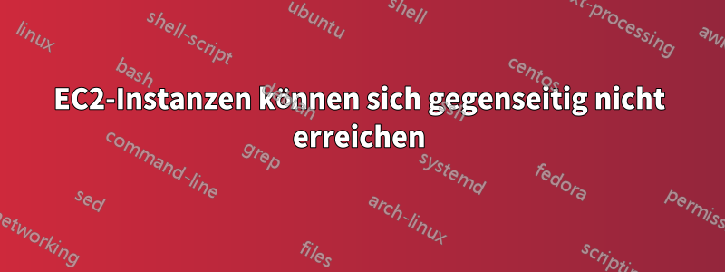 EC2-Instanzen können sich gegenseitig nicht erreichen