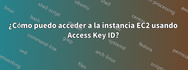 ¿Cómo puedo acceder a la instancia EC2 usando Access Key ID?