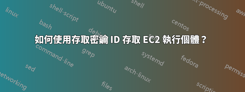 如何使用存取密鑰 ID 存取 EC2 執行個體？