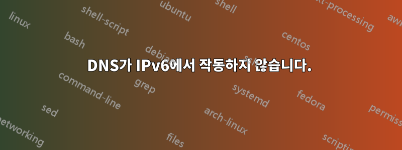 DNS가 IPv6에서 작동하지 않습니다.