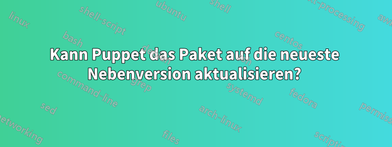 Kann Puppet das Paket auf die neueste Nebenversion aktualisieren?