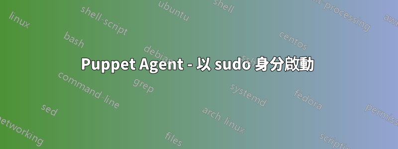 Puppet Agent - 以 sudo 身分啟動