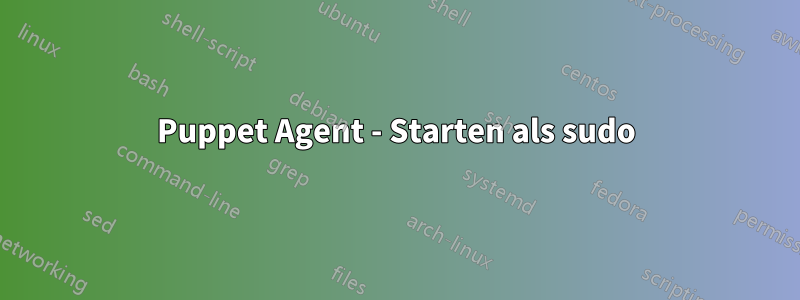 Puppet Agent - Starten als sudo