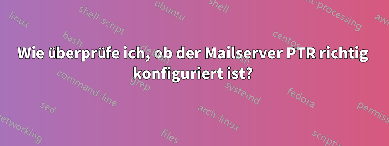 Wie überprüfe ich, ob der Mailserver PTR richtig konfiguriert ist?