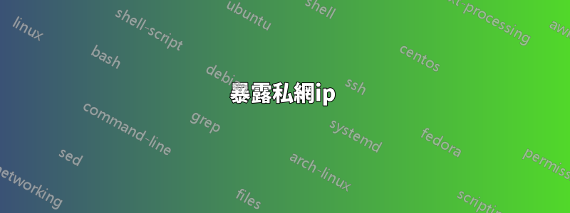 暴露私網ip