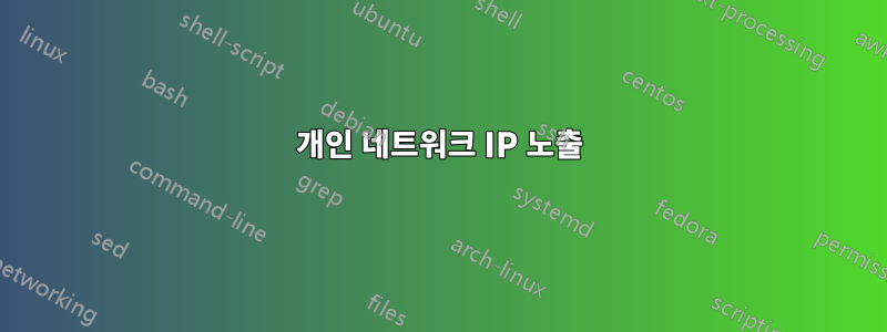 개인 네트워크 IP 노출