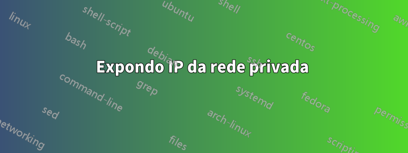 Expondo IP da rede privada