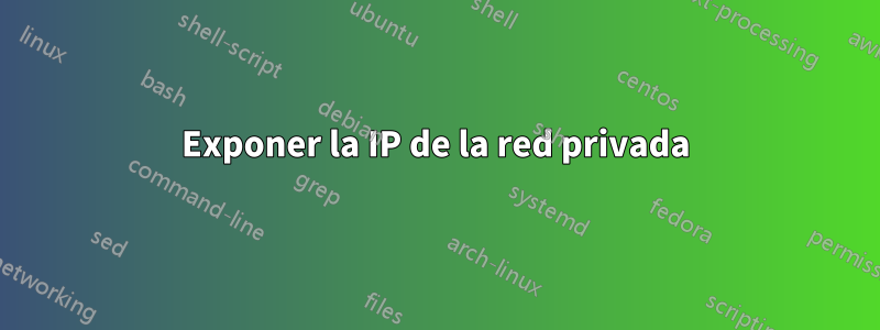 Exponer la IP de la red privada