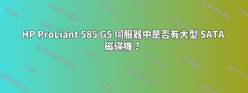 HP ProLiant 585 G5 伺服器中是否有大型 SATA 磁碟機?