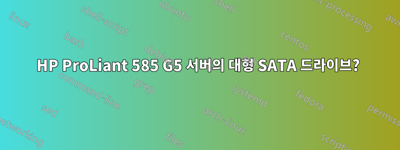 HP ProLiant 585 G5 서버의 대형 SATA 드라이브?