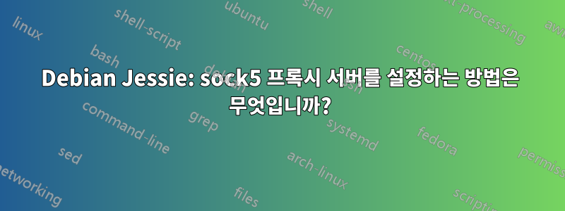 Debian Jessie: sock5 프록시 서버를 설정하는 방법은 무엇입니까?