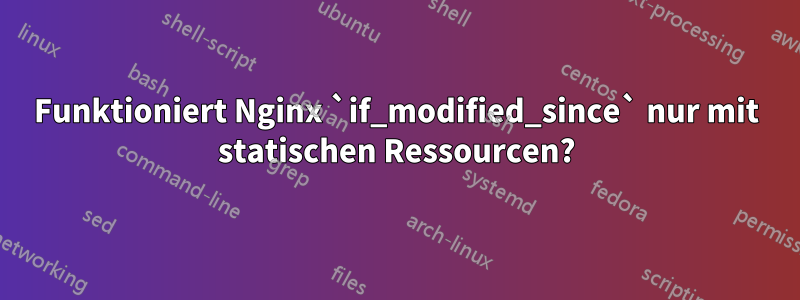 Funktioniert Nginx `if_modified_since` nur mit statischen Ressourcen?