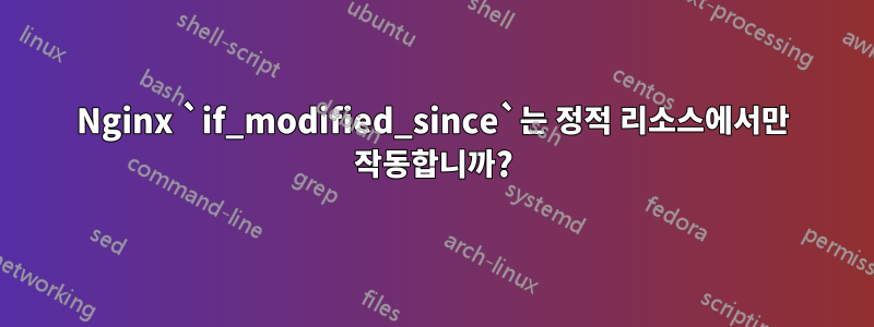 Nginx `if_modified_since`는 정적 리소스에서만 작동합니까?