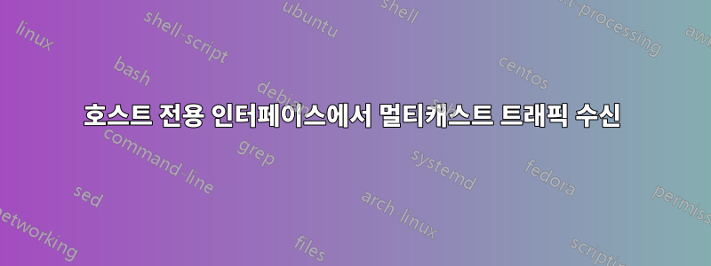 호스트 전용 인터페이스에서 멀티캐스트 트래픽 수신