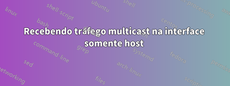 Recebendo tráfego multicast na interface somente host