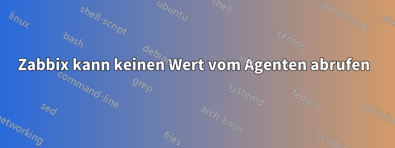 Zabbix kann keinen Wert vom Agenten abrufen 