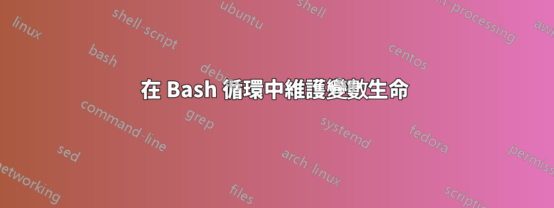 在 Bash 循環中維護變數生命