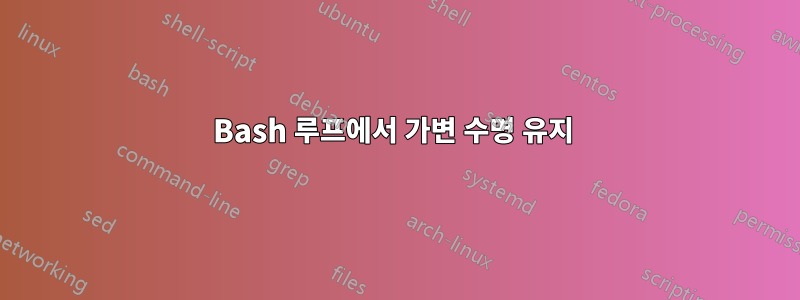 Bash 루프에서 가변 수명 유지 