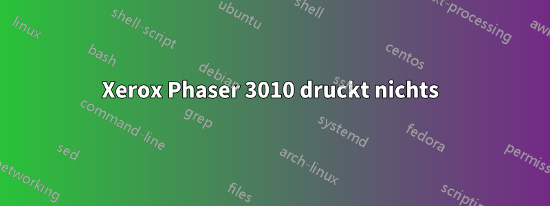 Xerox Phaser 3010 druckt nichts 