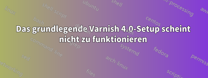 Das grundlegende Varnish 4.0-Setup scheint nicht zu funktionieren