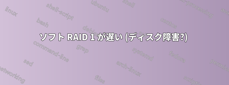 ソフト RAID 1 が遅い (ディスク障害?)