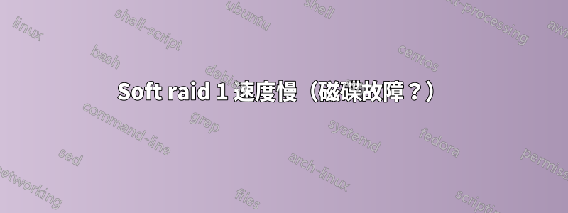 Soft raid 1 速度慢（磁碟故障？）