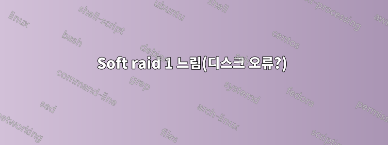 Soft raid 1 느림(디스크 오류?)