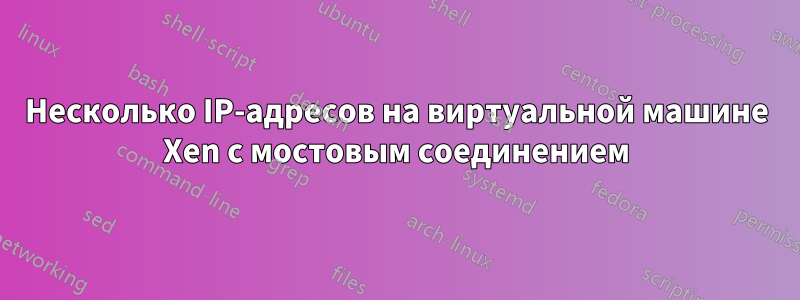 Несколько IP-адресов на виртуальной машине Xen с мостовым соединением