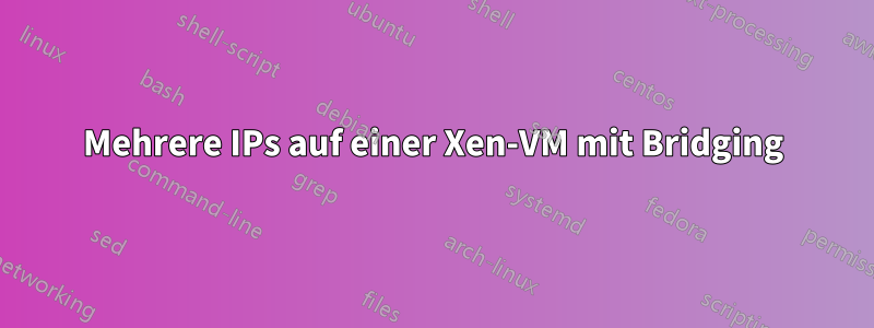 Mehrere IPs auf einer Xen-VM mit Bridging