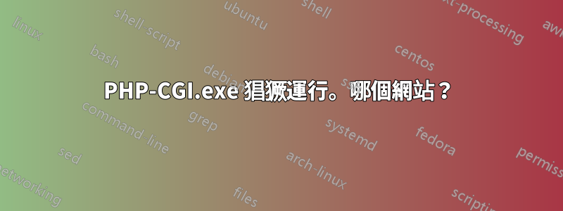 PHP-CGI.exe 猖獗運行。哪個網站？