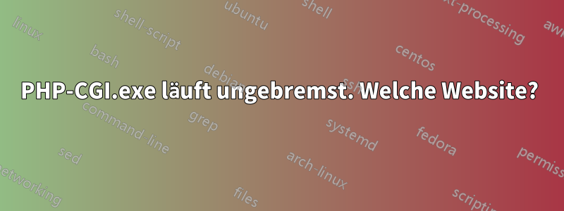 PHP-CGI.exe läuft ungebremst. Welche Website?