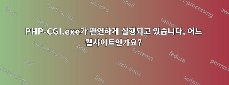 PHP-CGI.exe가 만연하게 실행되고 있습니다. 어느 웹사이트인가요?