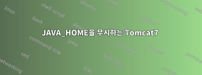 JAVA_HOME을 무시하는 Tomcat7